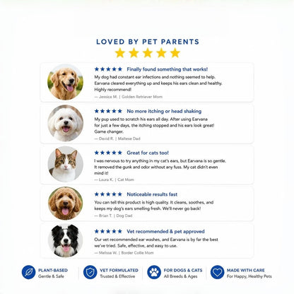 🐶 Gentle Pet Ear Cleaner Solution for Dogs & Cats (100ml / 3.38 fl oz) 🐱